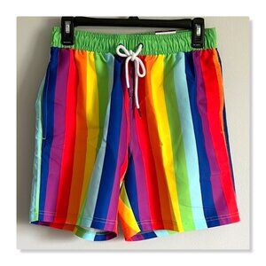 Multicolor Striped Men's Swim Shorts